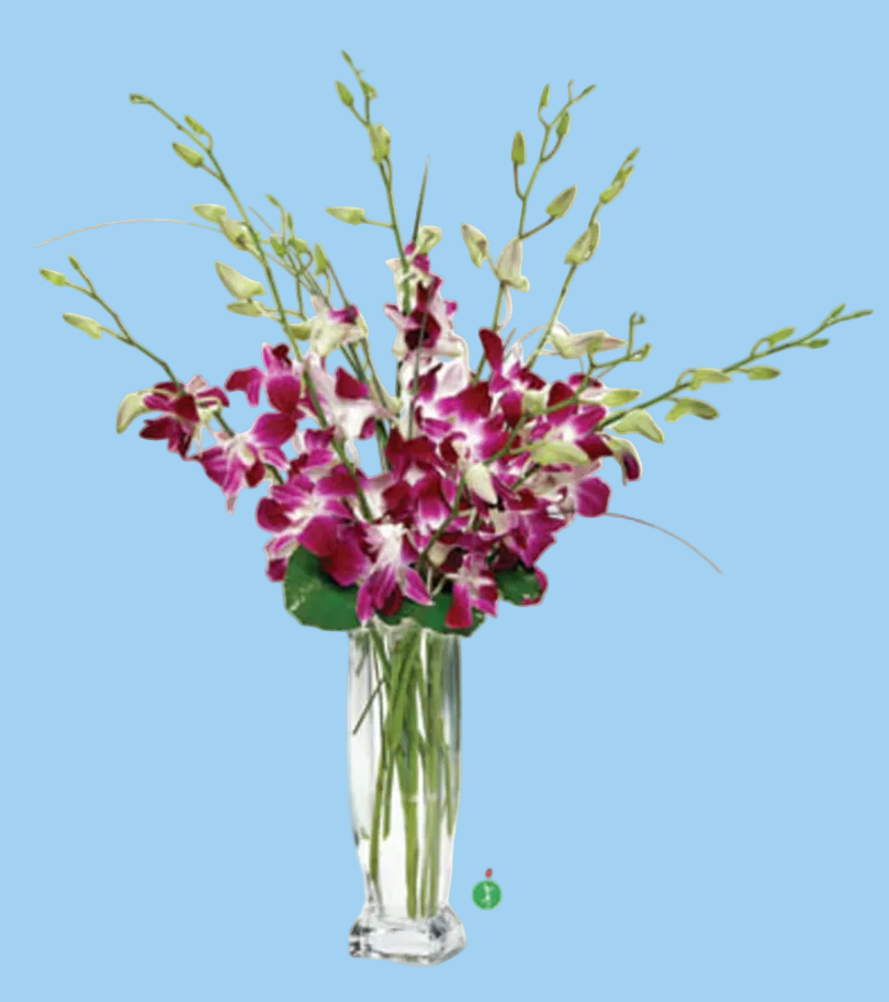 Bouquet of purple and white flowers in a clear glass vase on a white background