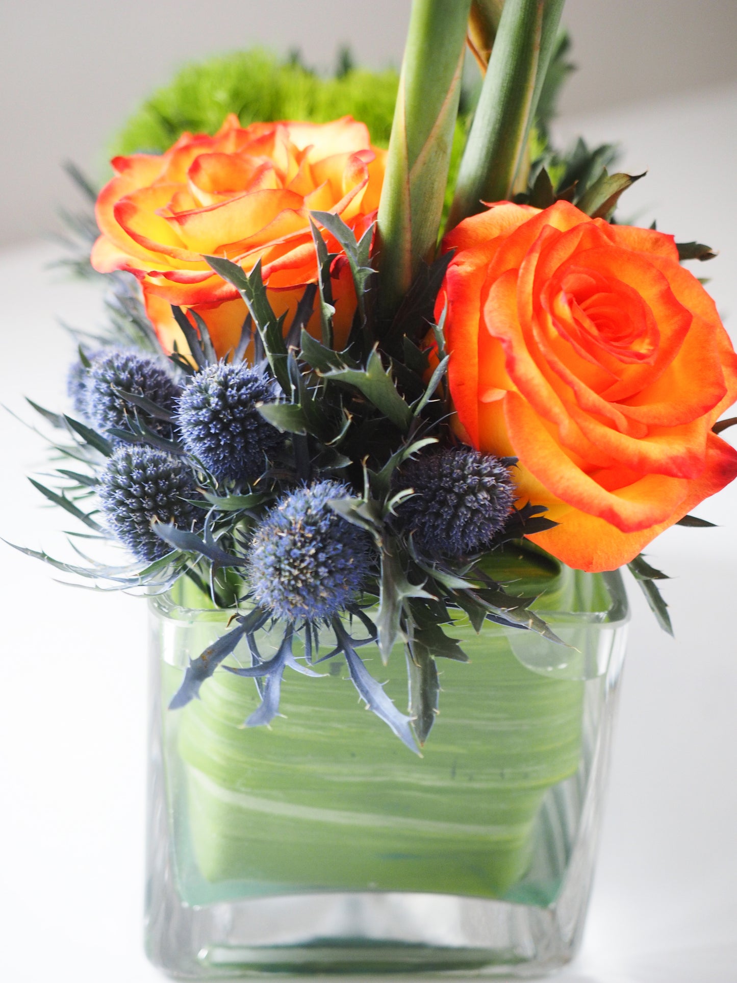 Bouquet of orange roses and blue thistles in a clear glass vase on a white background