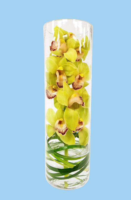 Clear cylindrical vase with green orchids on a white background