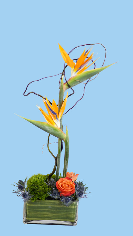 Floral arrangement with orange rose, green leaves, and yellow bird-of-paradise on a white background