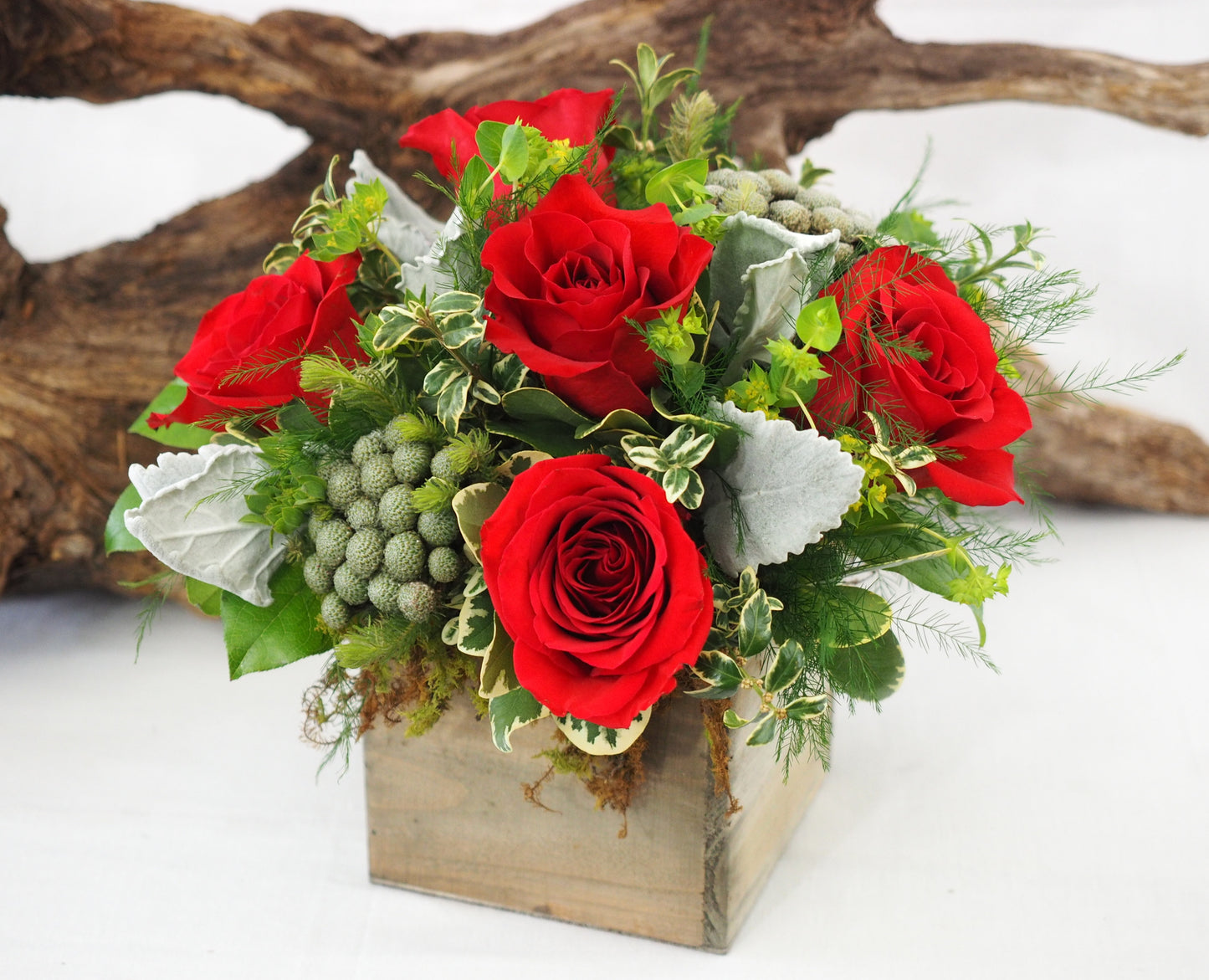 Woodland Rose